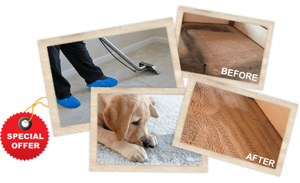 Services of Carpet Cleaning Montgomery TX