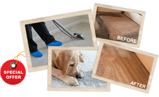 Carpet Cleaning Spring TX Services of Carpet Cleaning Spring TX